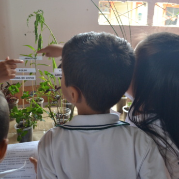 ONG colombiana ganadora del premio Klaus J. Jacobs de Mejor Práctica educativa