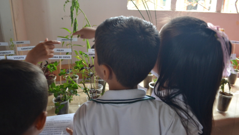 ONG colombiana ganadora del premio Klaus J. Jacobs de Mejor Práctica educativa