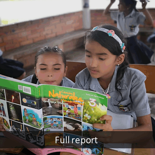 FEN_Annual_Report_2024