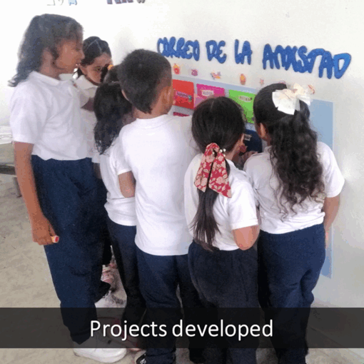 FEN_Projects_2024