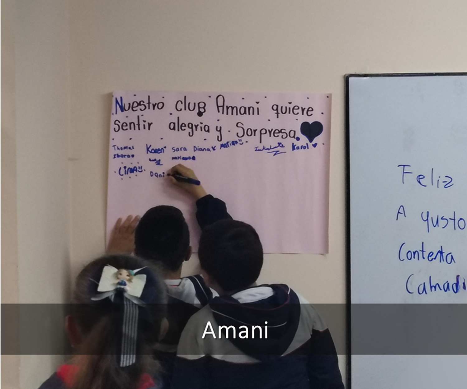 Amani_FEN_2026
