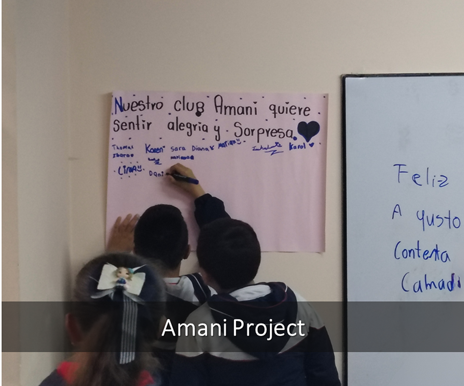 Amani_Project_FEN_2026